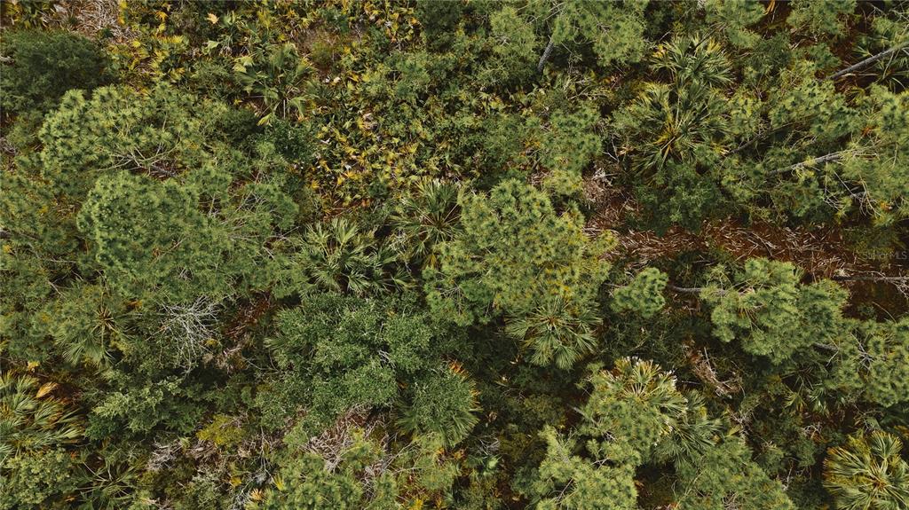 10-11 Adams Beach Road Perry, FL 32348 - Photo 8 of 38