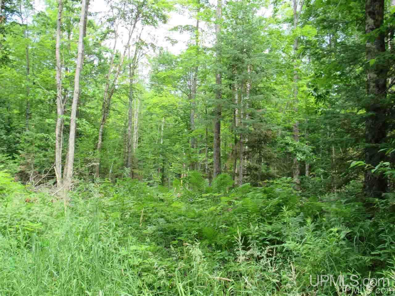 120 A Donken-tapiola Road Hancock, MI 49931 - Photo 2 of 14