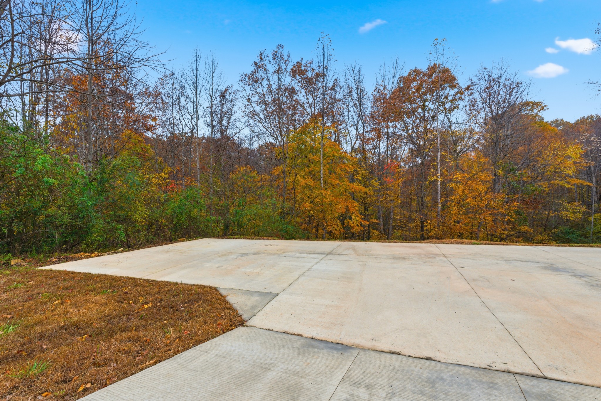 4310 Surji Circle Centerville, TN 37033 - Photo 6 of 27 a view of outdoor space and trees