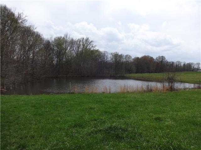 4921 Williams Road Cross Plains, TN 37049 - Photo 15 of 16 Large pond at rear of property-- behind house