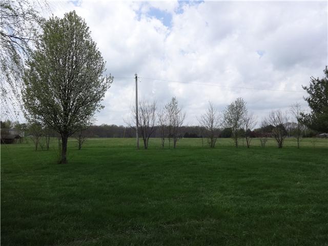 4921 Williams Road Cross Plains, TN 37049 - Photo 2 of 16 View from front porch