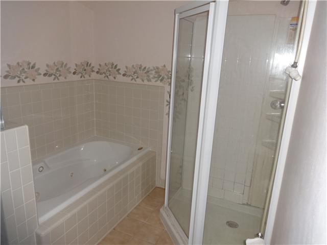 4921 Williams Road Cross Plains, TN 37049 - Photo 4 of 16 Master bath, shower & seperate jacuzzi