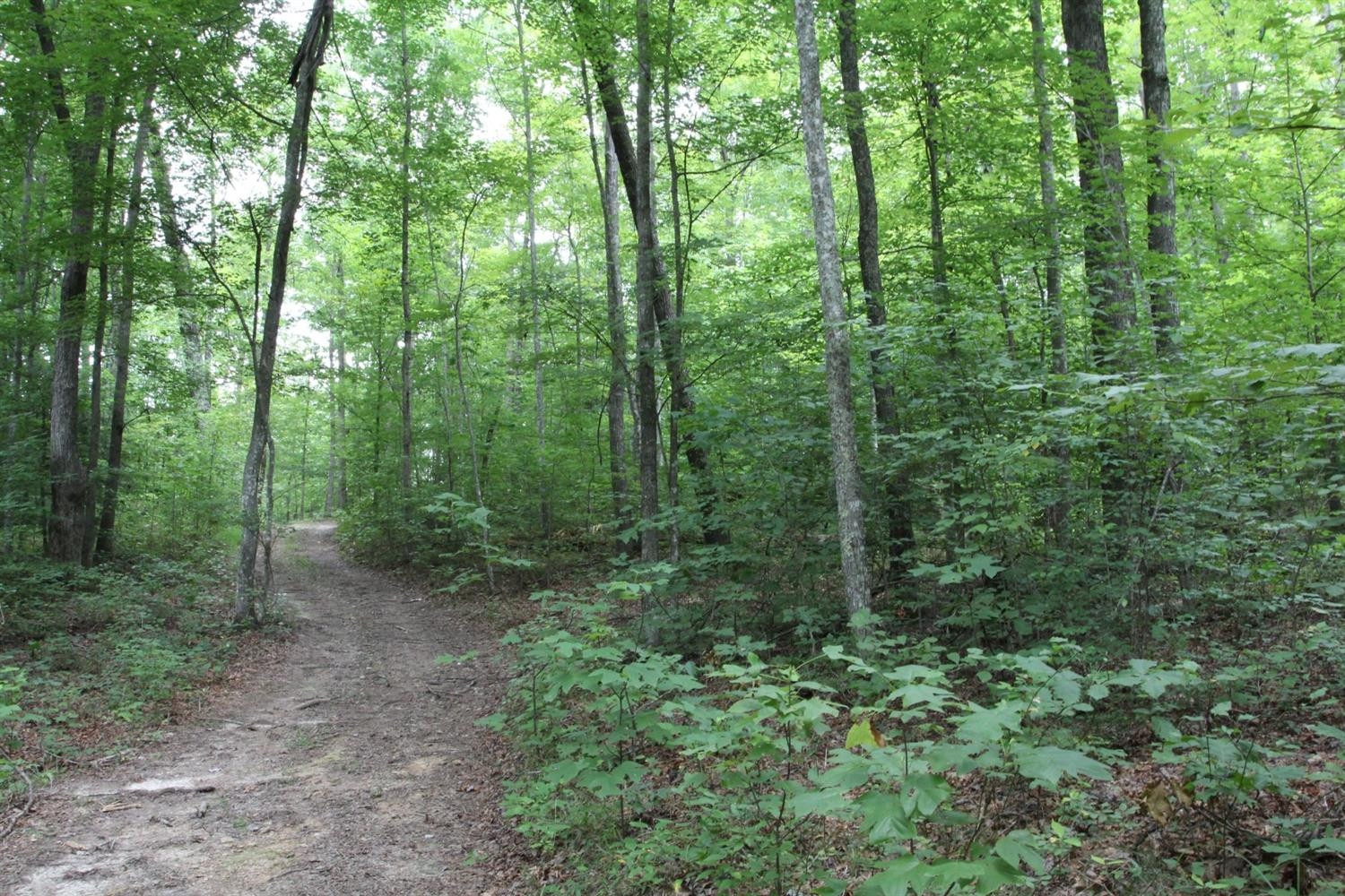 5210 London Dock Road London, KY 40744 - Photo 5 of 73 Listing Photo
