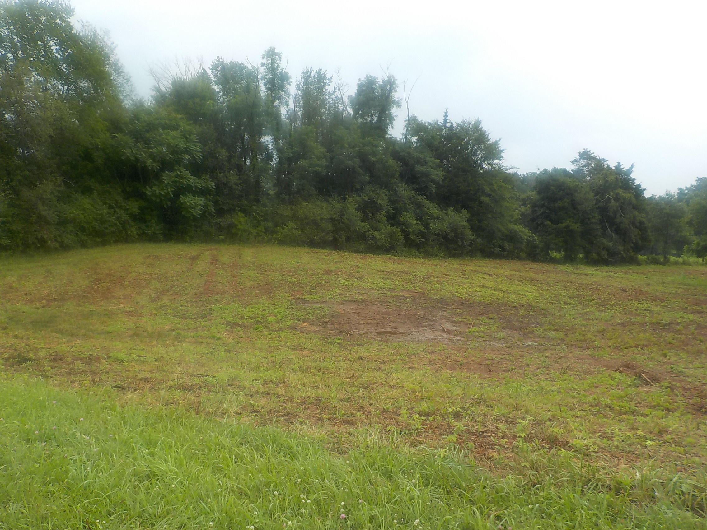 581 Emory Road Blaine, TN 37709 - Photo 1 of 6 001