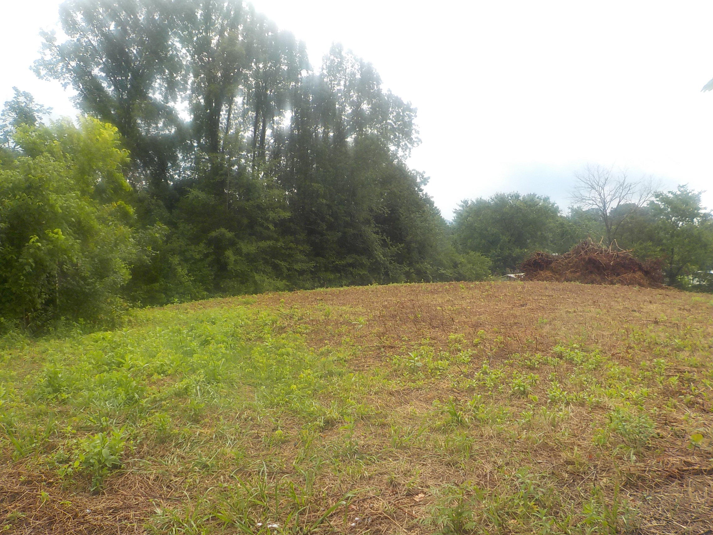 581 Emory Road Blaine, TN 37709 - Photo 2 of 6 003