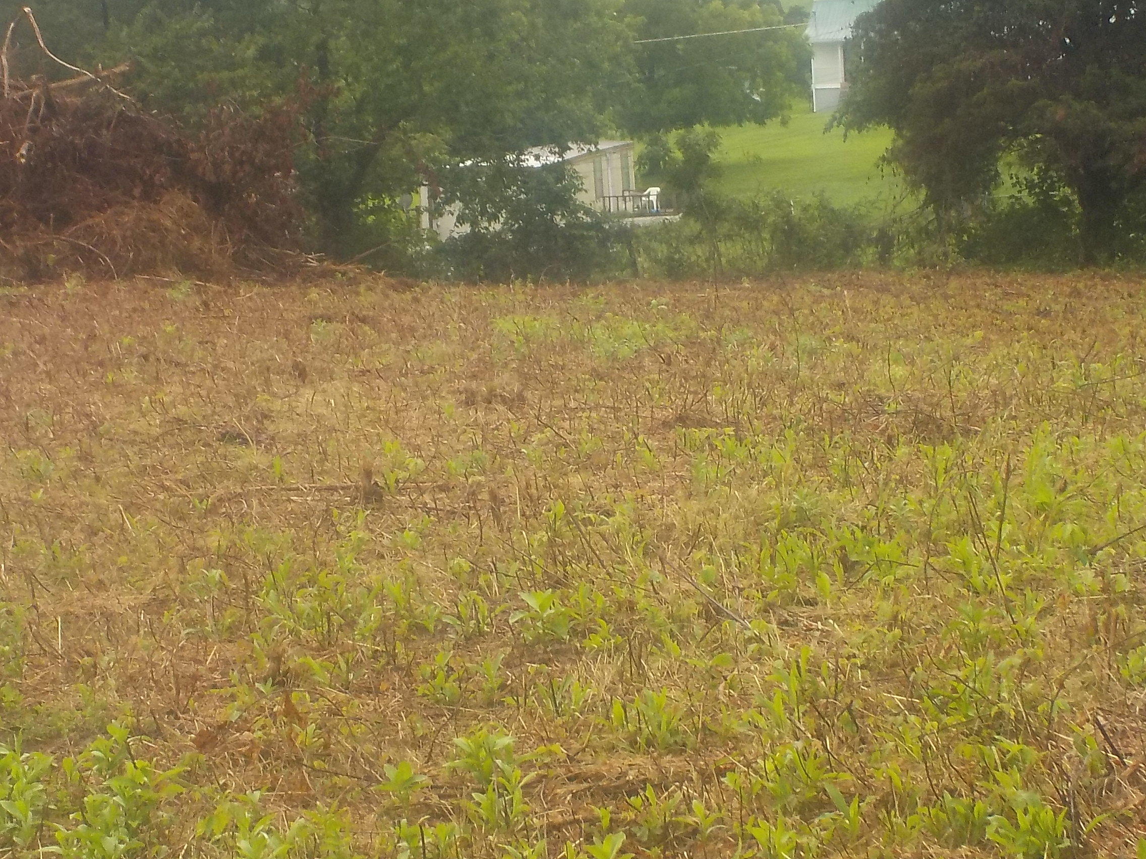 581 Emory Road Blaine, TN 37709 - Photo 3 of 6 004