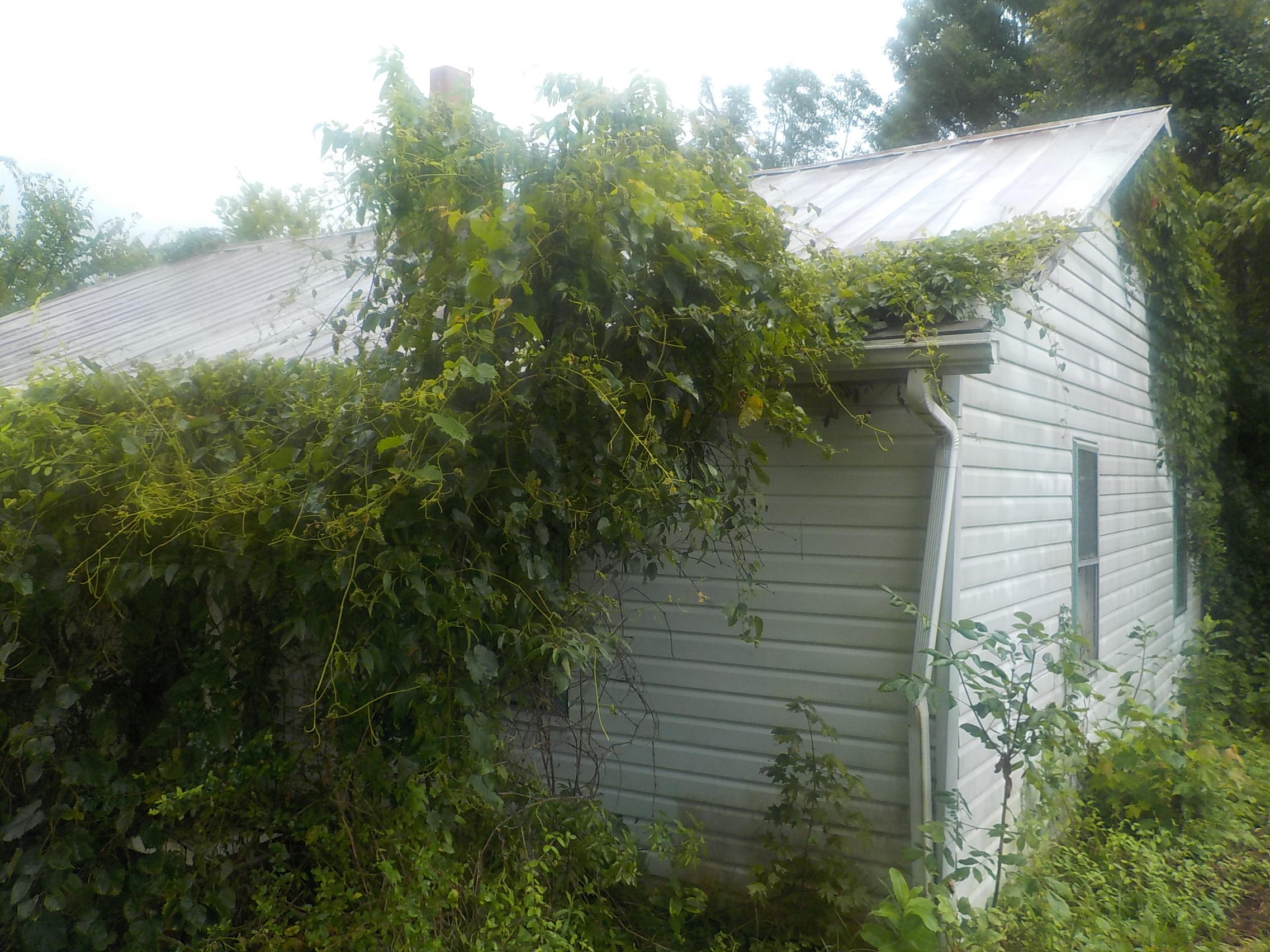 581 Emory Road Blaine, TN 37709 - Photo 6 of 6 006