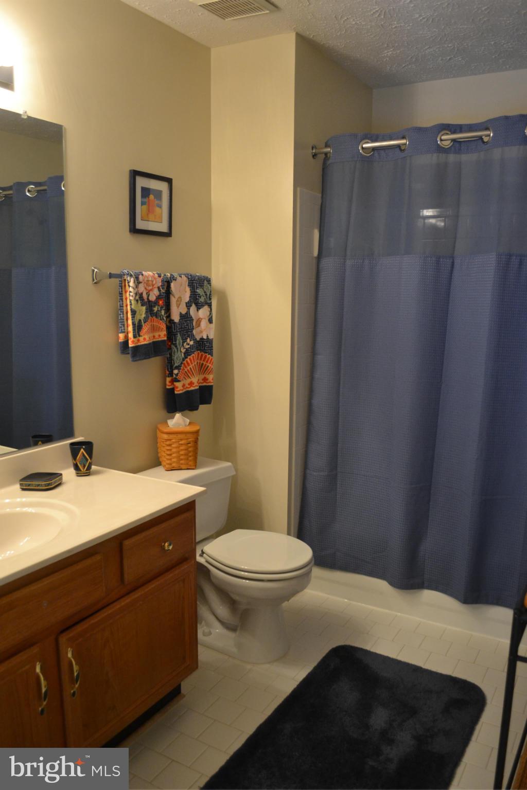 3243 Escapade Circle Riva, MD 21140 - Photo 14 of 24 Bath