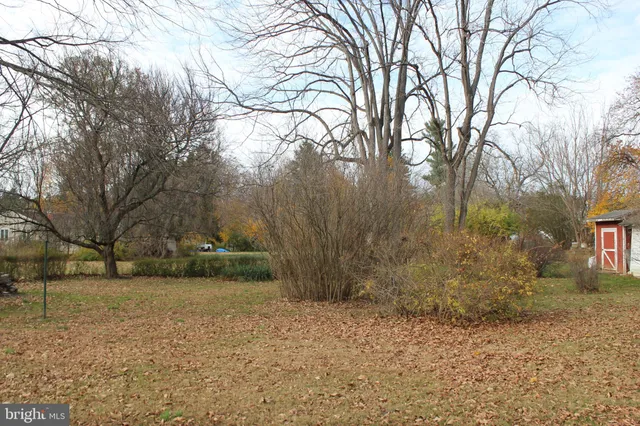a view of a yard with large trees
