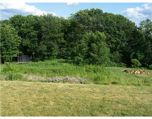 210 Becks Run Road Coraopolis, PA 15108 - Photo 15 of 18 Yard/Garden.