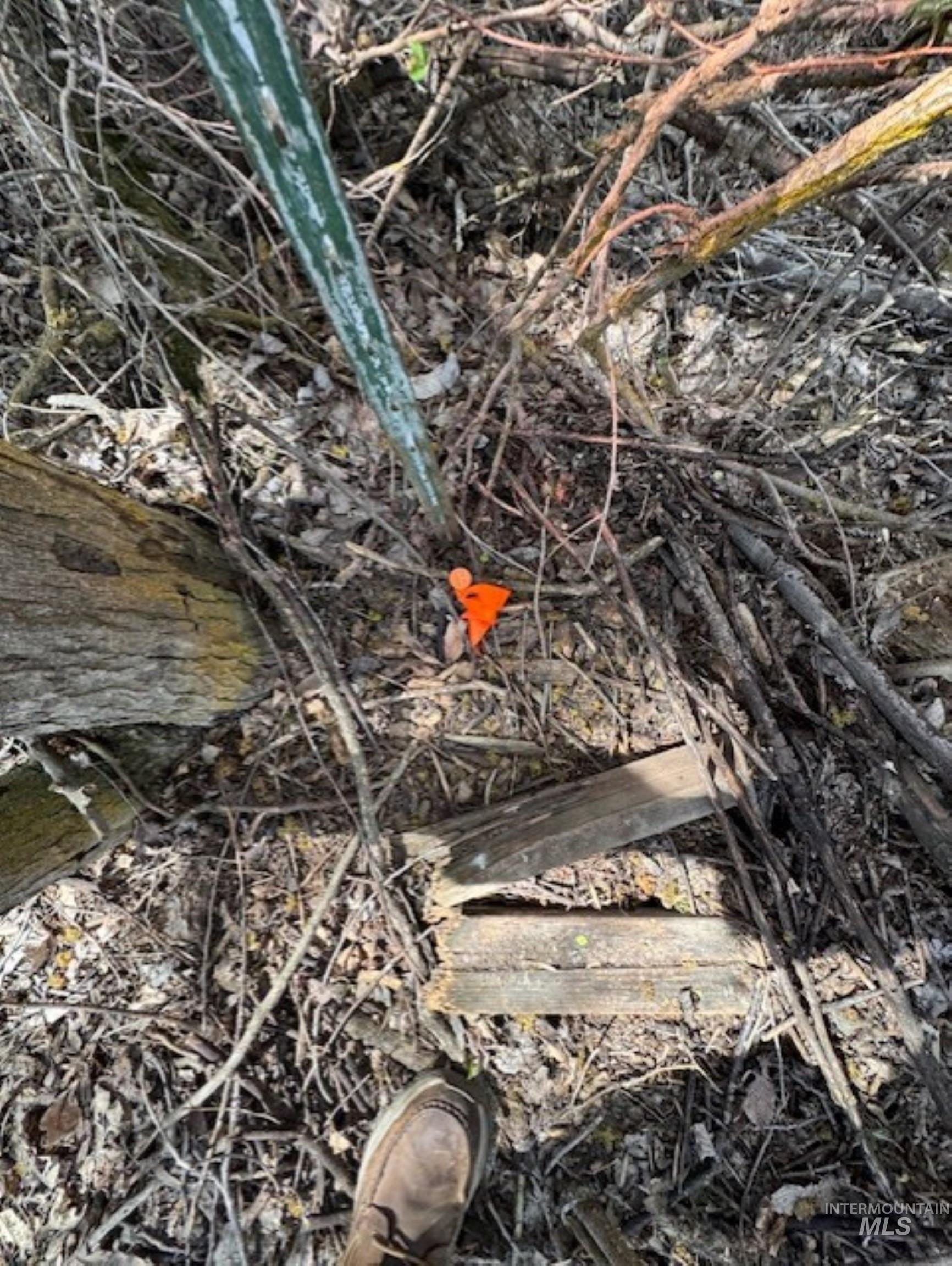 70 County Road 70 Weiser, ID 83672 - Photo 11 of 11