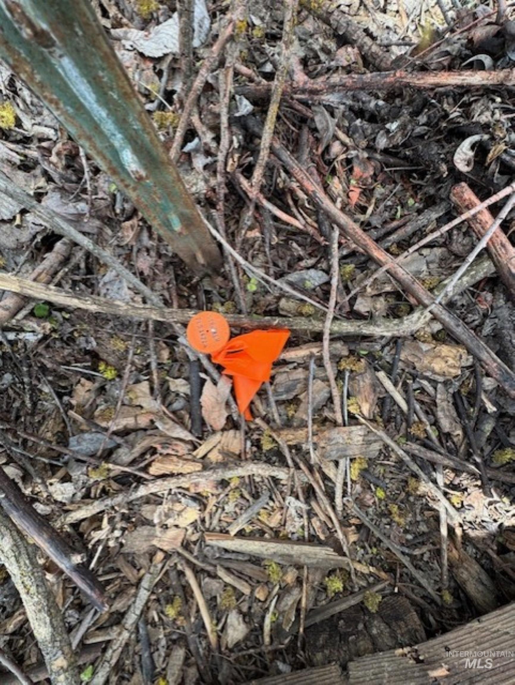 70 County Road 70 Weiser, ID 83672 - Photo 9 of 11