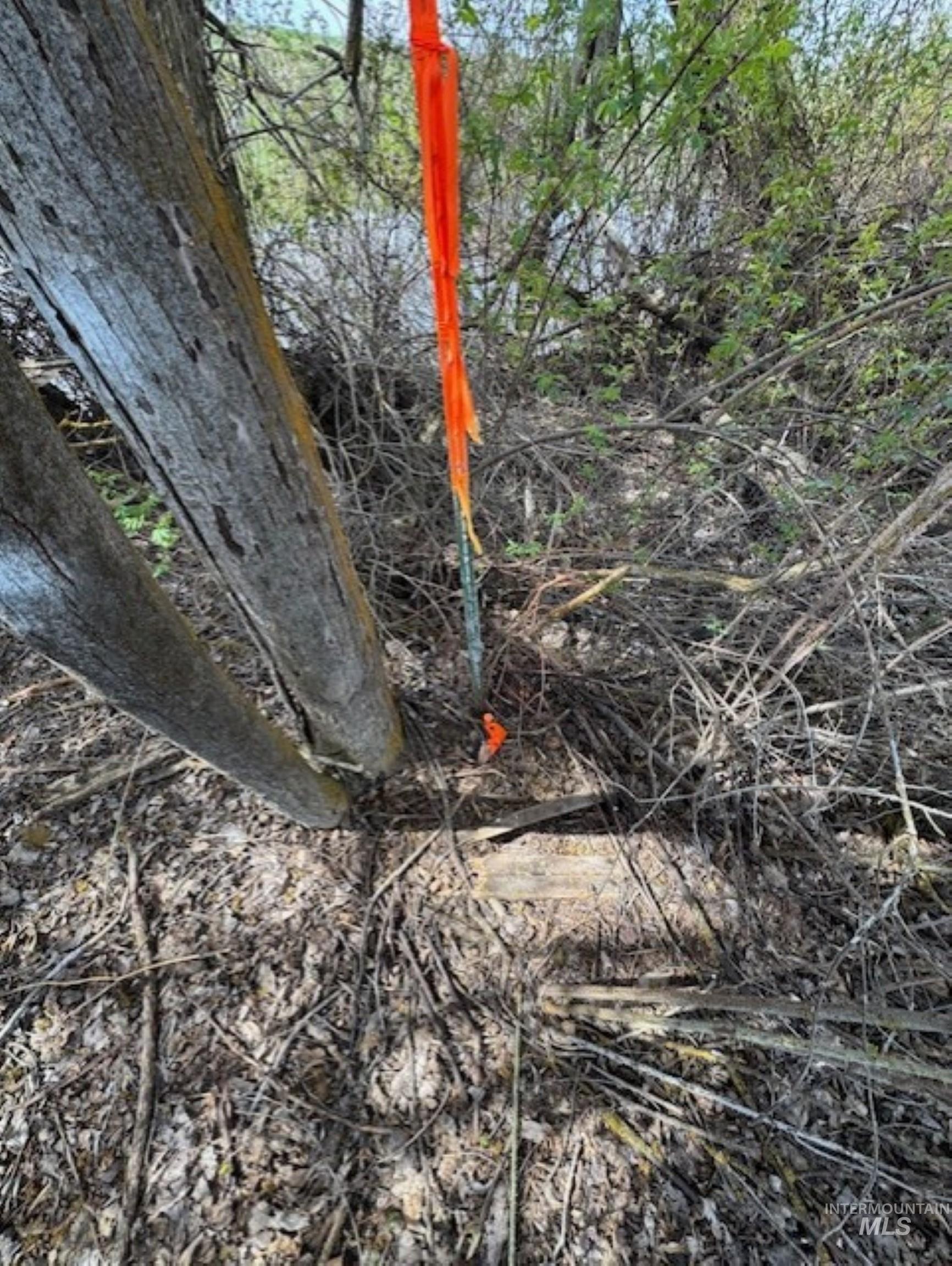 70 County Road 70 Weiser, ID 83672 - Photo 10 of 11