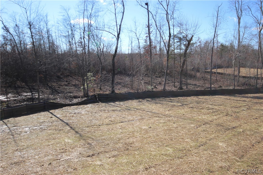 165 New S Ridge Road Bumpass, VA 23024 - Photo 17 of 26 a view of a backyard of the house