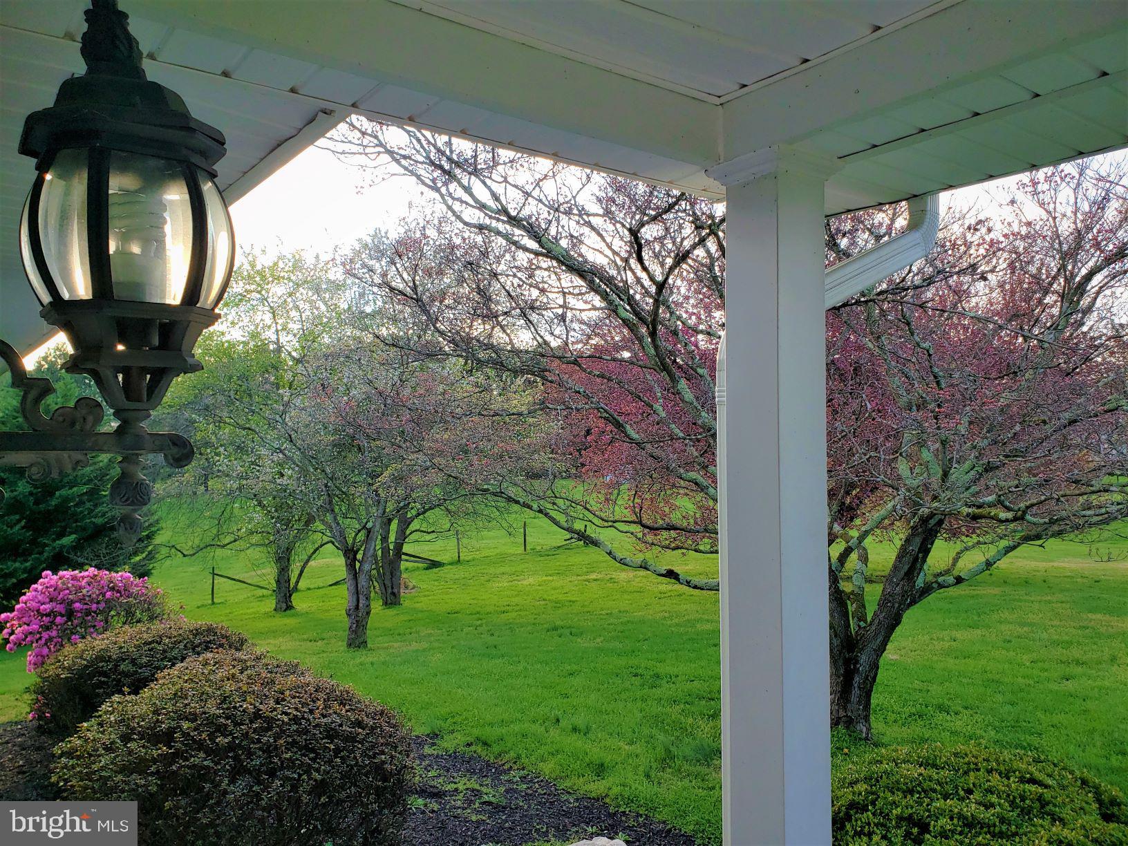 9395 Ramey Road Marshall, VA 20115 - Photo 11 of 71 Serene vistas that are inviting