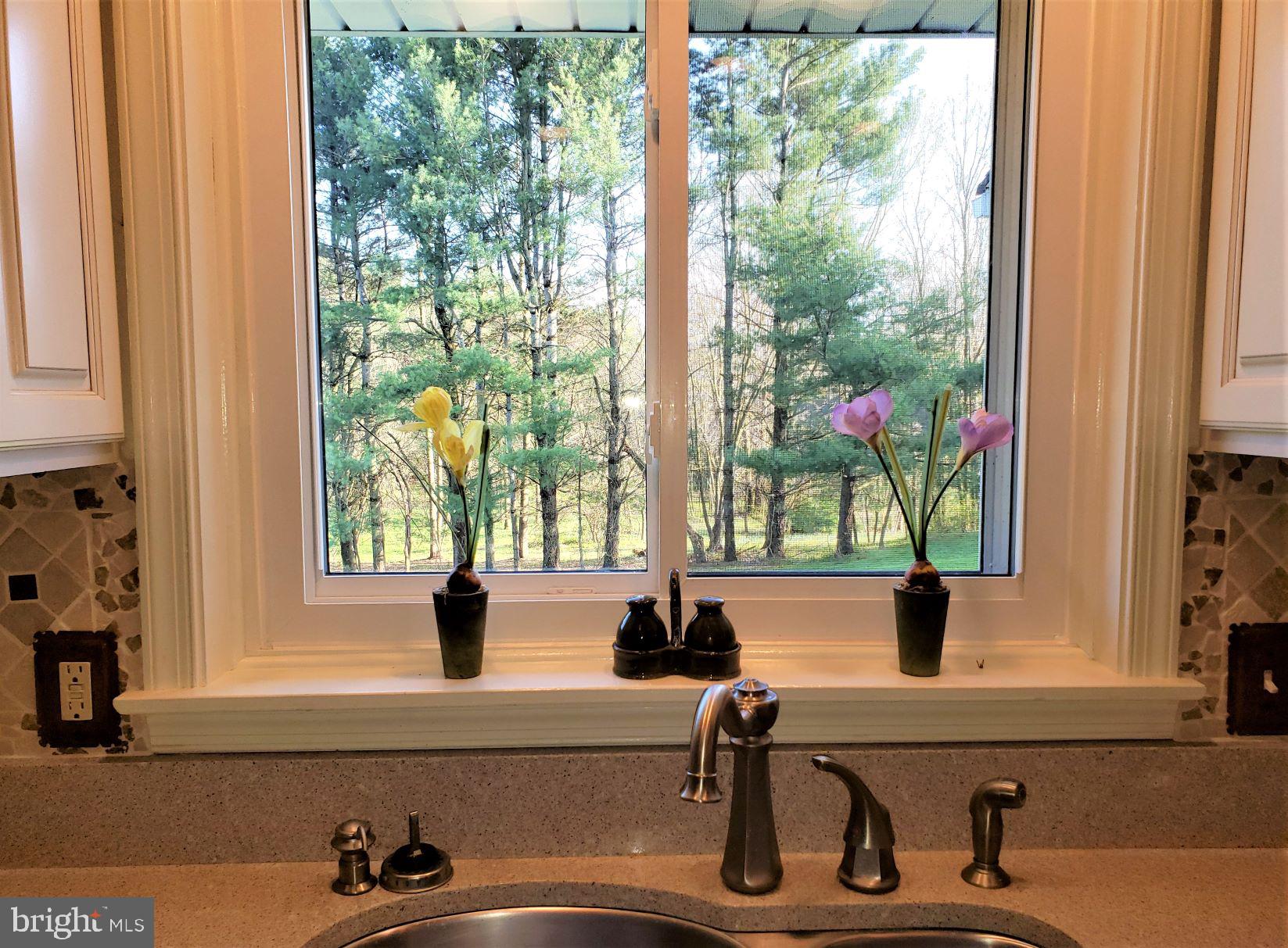 9395 Ramey Road Marshall, VA 20115 - Photo 22 of 71 Peaceful views to be enjoyed