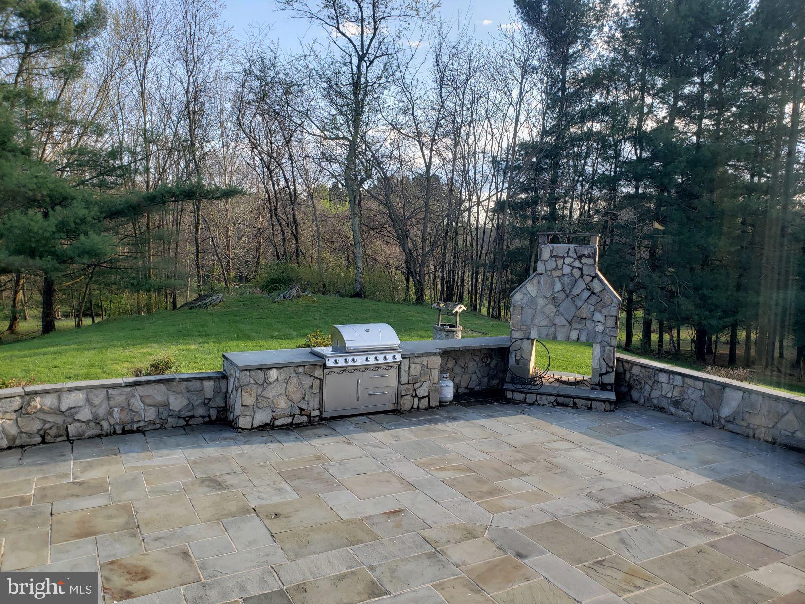 9395 Ramey Road Marshall, VA 20115 - Photo 25 of 71 Back patio with BBQ and open fire