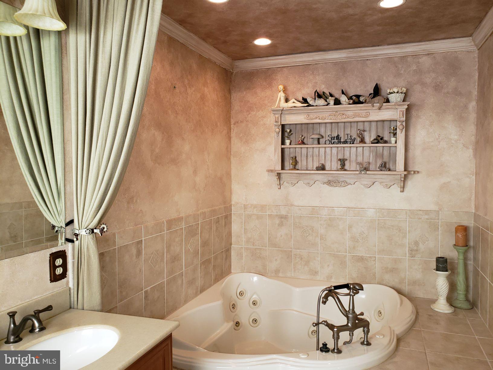 9395 Ramey Road Marshall, VA 20115 - Photo 30 of 71 Soaking tub for quiet time