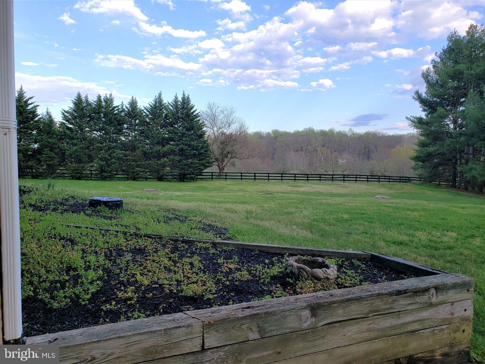 9395 Ramey Road Marshall, VA 20115 - Photo 45 of 71 Walk out to storage, garden beds and side field