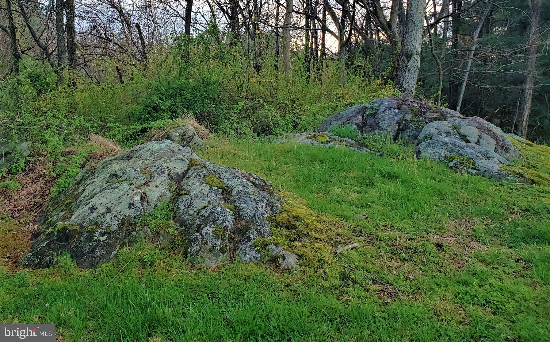 9395 Ramey Road Marshall, VA 20115 - Photo 55 of 71 Rock outcroppings in the back of the property