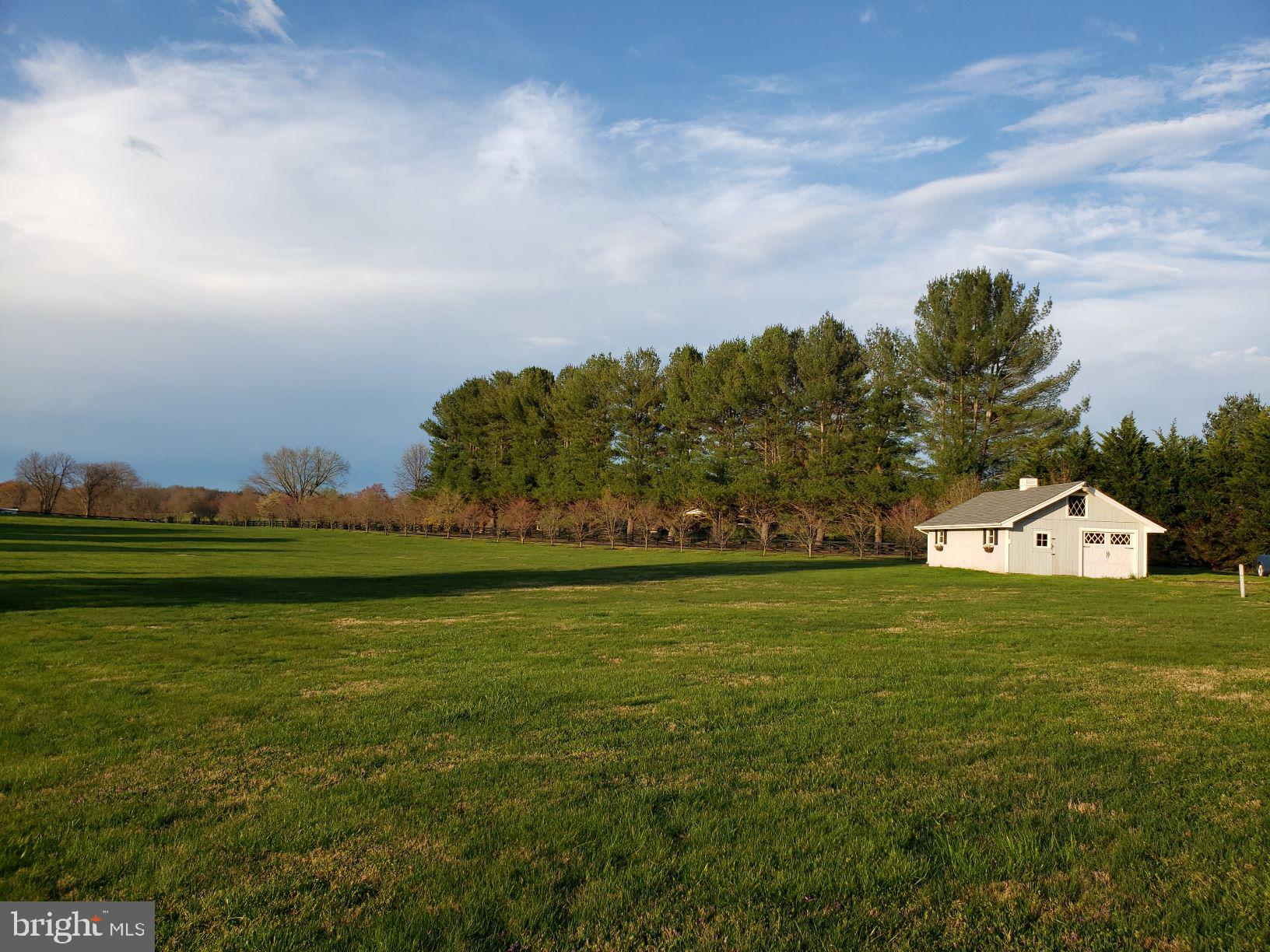 9395 Ramey Road Marshall, VA 20115 - Photo 58 of 71 Spacious fields for animals, gardens or play