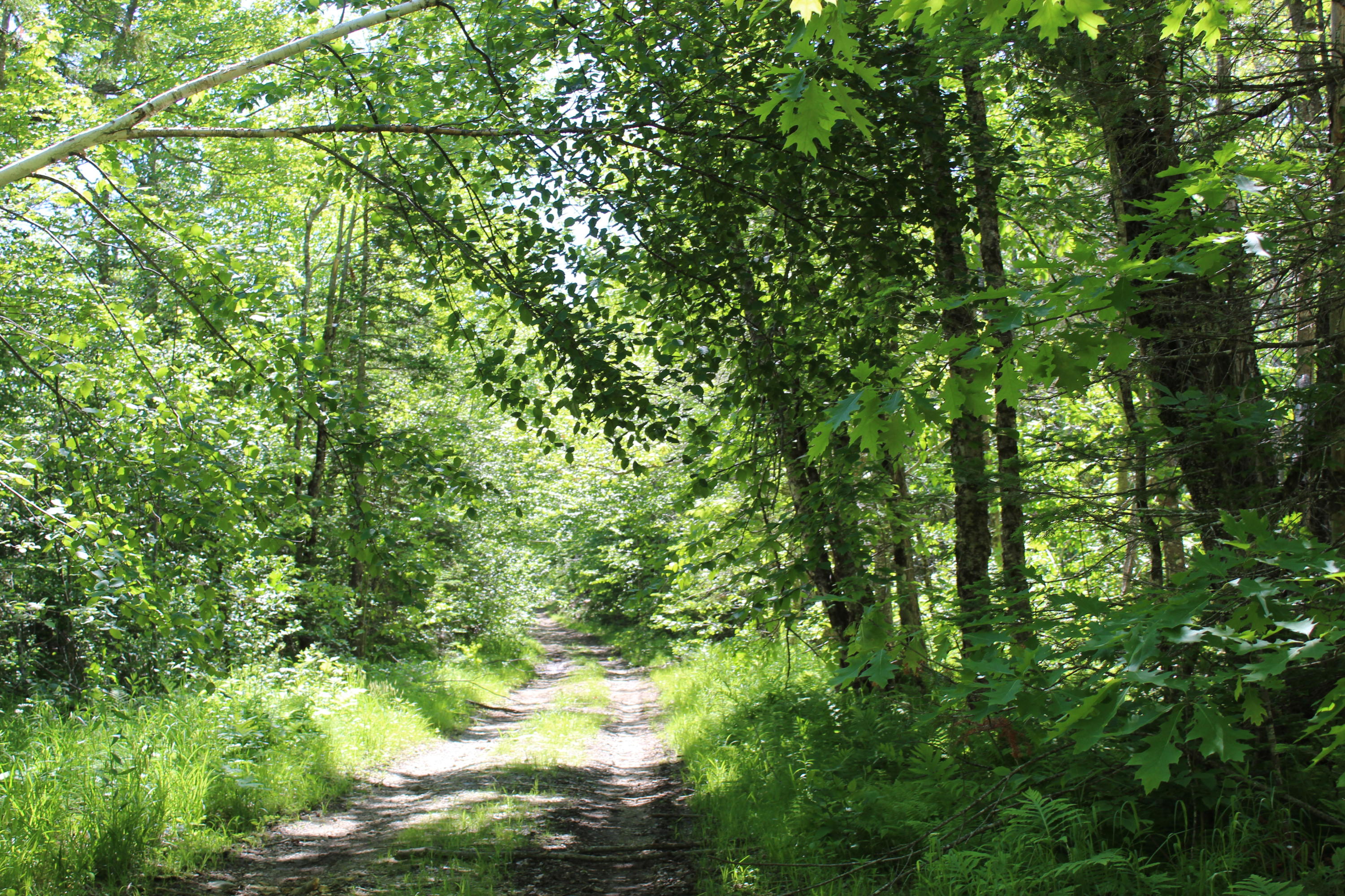 117 South Brooks Road Brooks, ME 04921 - Photo 34 of 37 IMG_0504