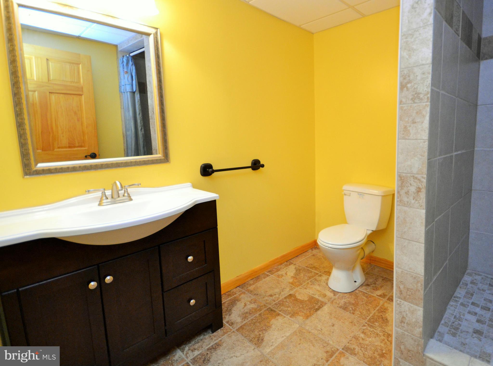 3233 Fortune Mountain Road Marshall, VA 20115 - Photo 22 of 30 Basement Bath