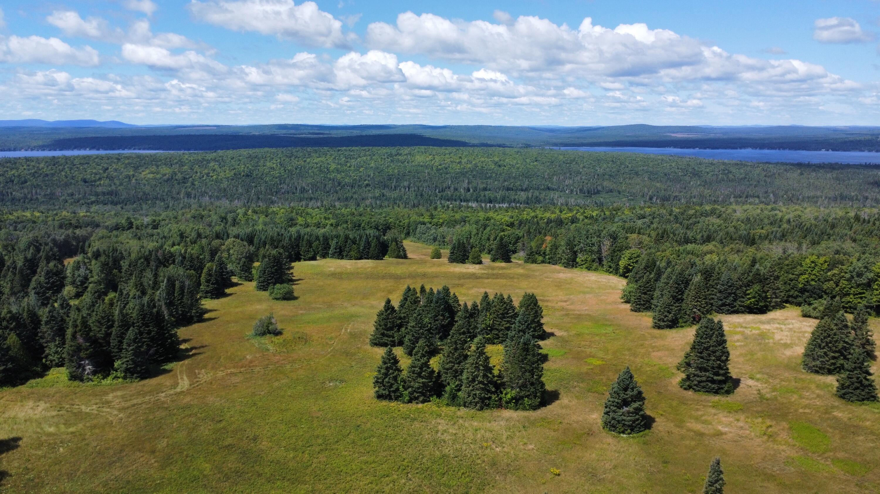 1075 W Road New Sweden, ME 04762 - Photo 134 of 150 dji_fly_20260814_115716_637_178673000521