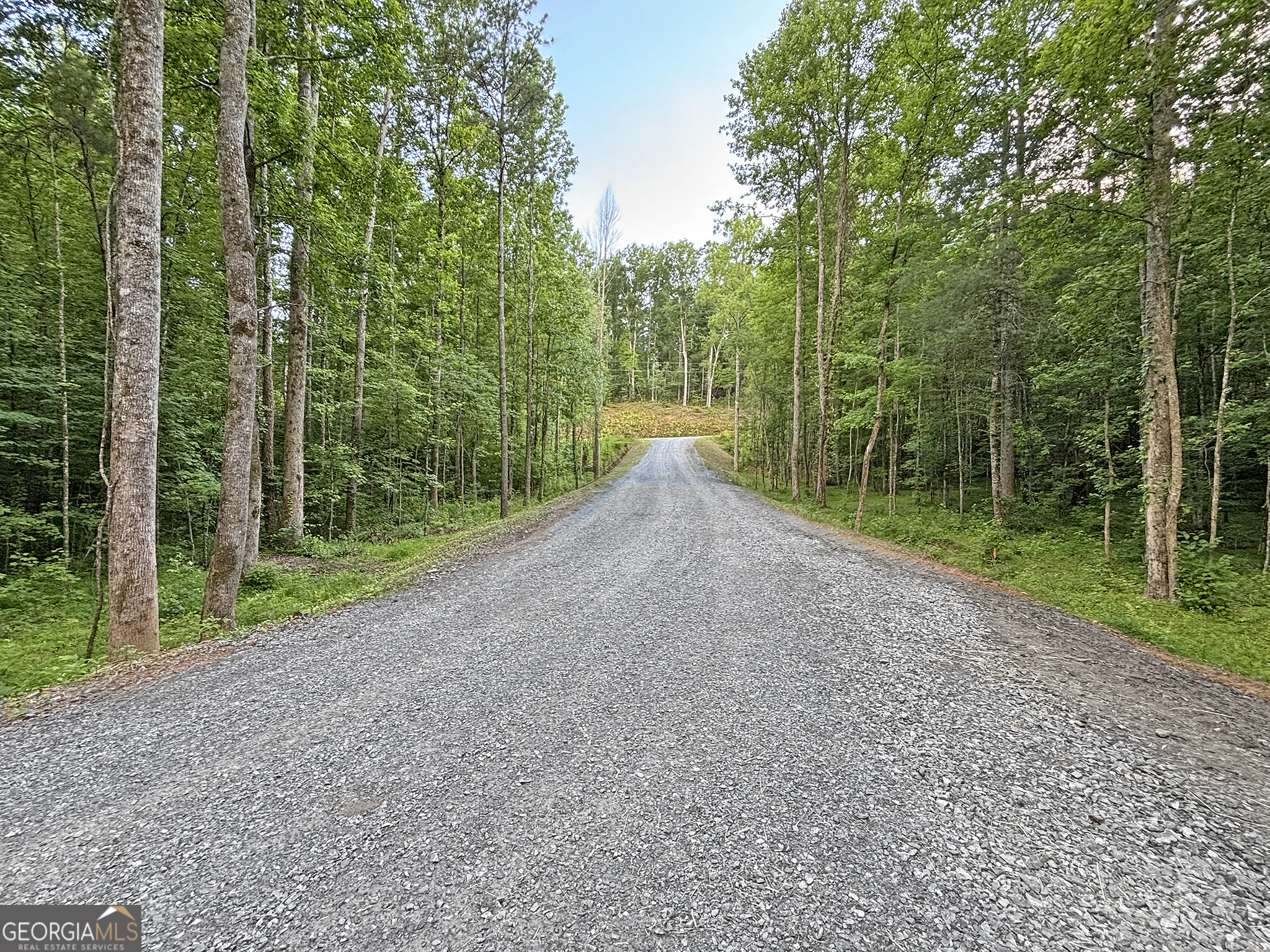 Lot 20 Mt Springer Road Ellijay, GA 30540 - Photo 5 of 32