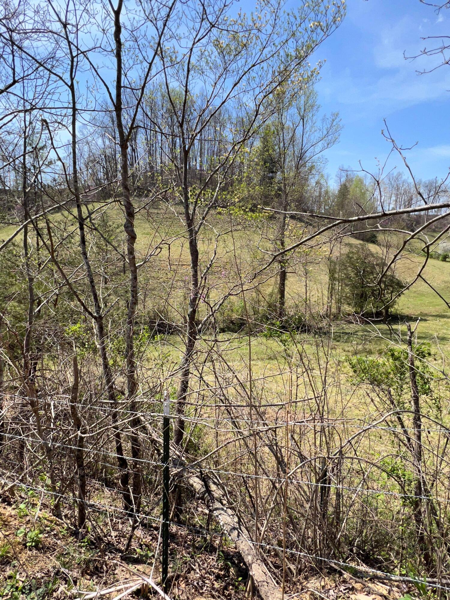 1 Dunn Road Campton, KY 41301 - Photo 59 of 69 IMG_7867