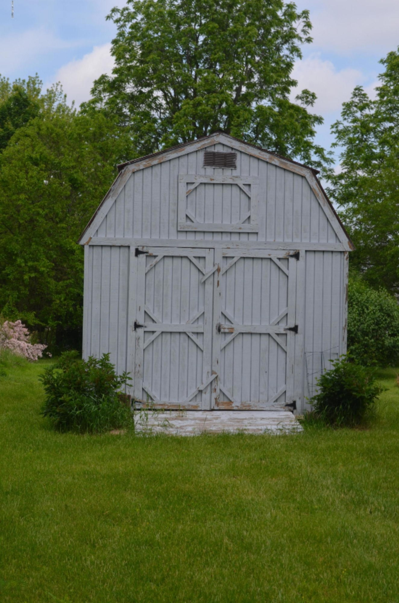 31986 West Colon Road Colon, MI 49040 - Photo 5 of 23 Shed