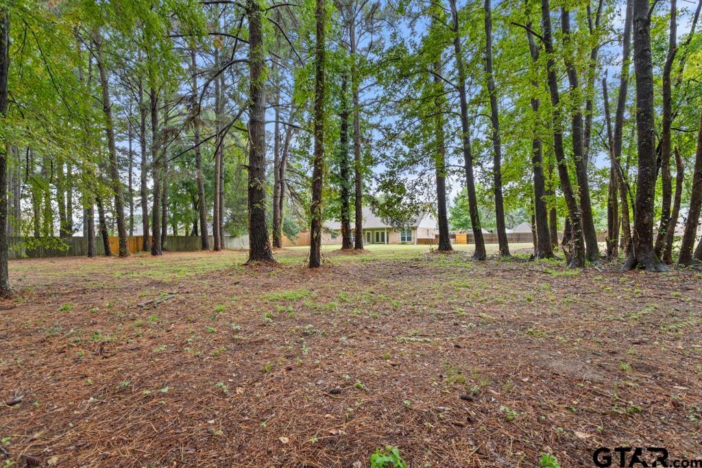 21183 Altuda Lane Flint, TX 75762 - Photo 31 of 48