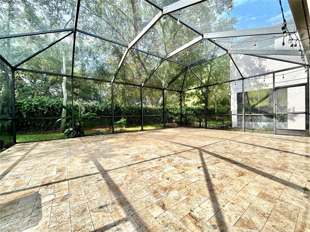 11210 Roseate Drive Tampa, FL 33626 - Photo 40 of 50
