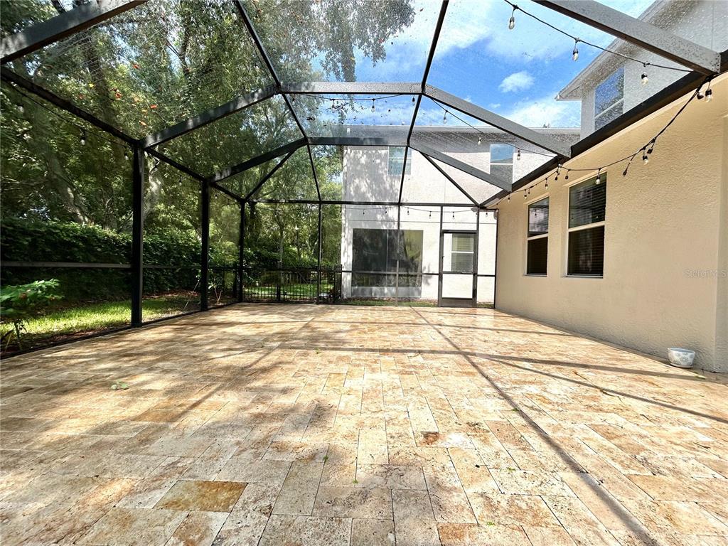 11210 Roseate Drive Tampa, FL 33626 - Photo 41 of 50