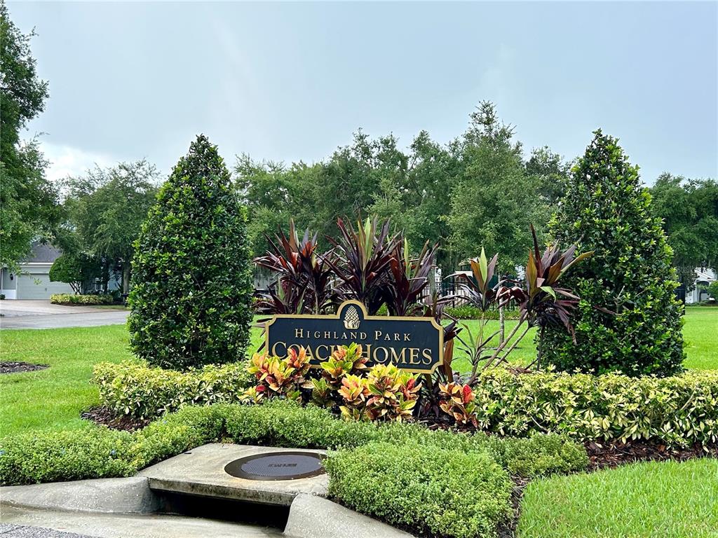11210 Roseate Drive Tampa, FL 33626 - Photo 43 of 50 a view of a garden with plants and large trees