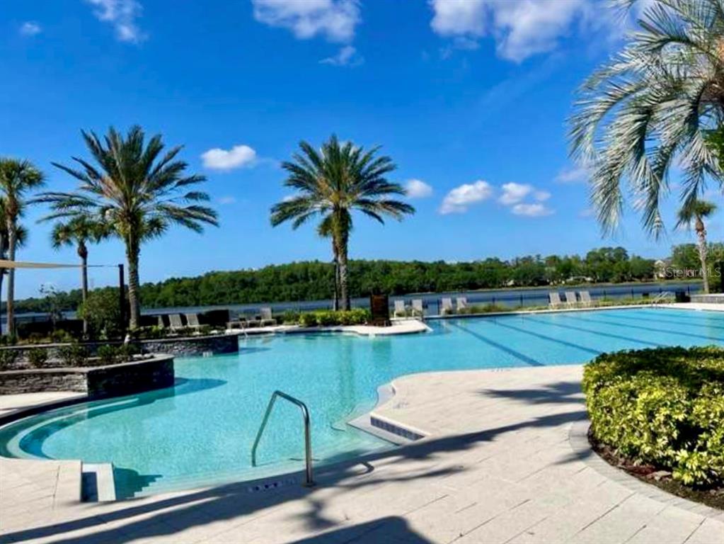 11210 Roseate Drive Tampa, FL 33626 - Photo 44 of 50 a view of a swimming pool and lounge chair