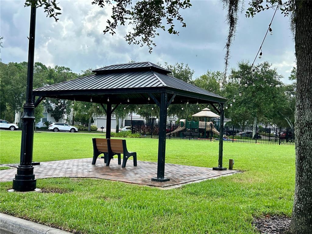 11210 Roseate Drive Tampa, FL 33626 - Photo 46 of 50 a view of a park with large trees