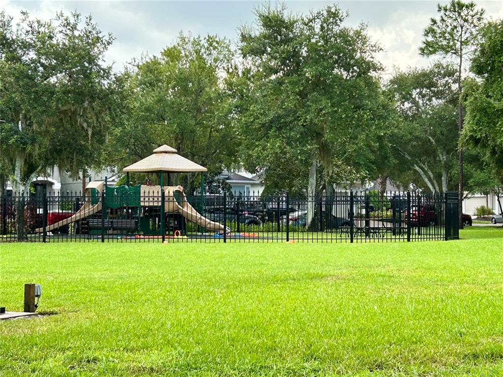 11210 Roseate Drive Tampa, FL 33626 - Photo 47 of 50 a view of a house with backyard