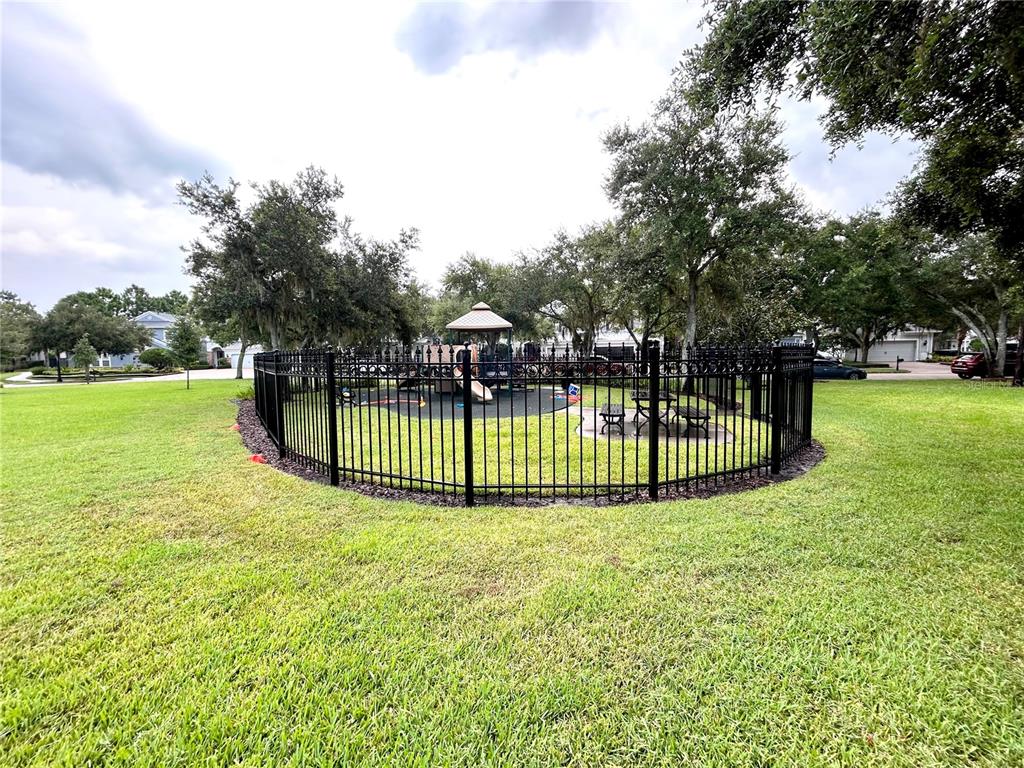 11210 Roseate Drive Tampa, FL 33626 - Photo 49 of 50 a view of a garden