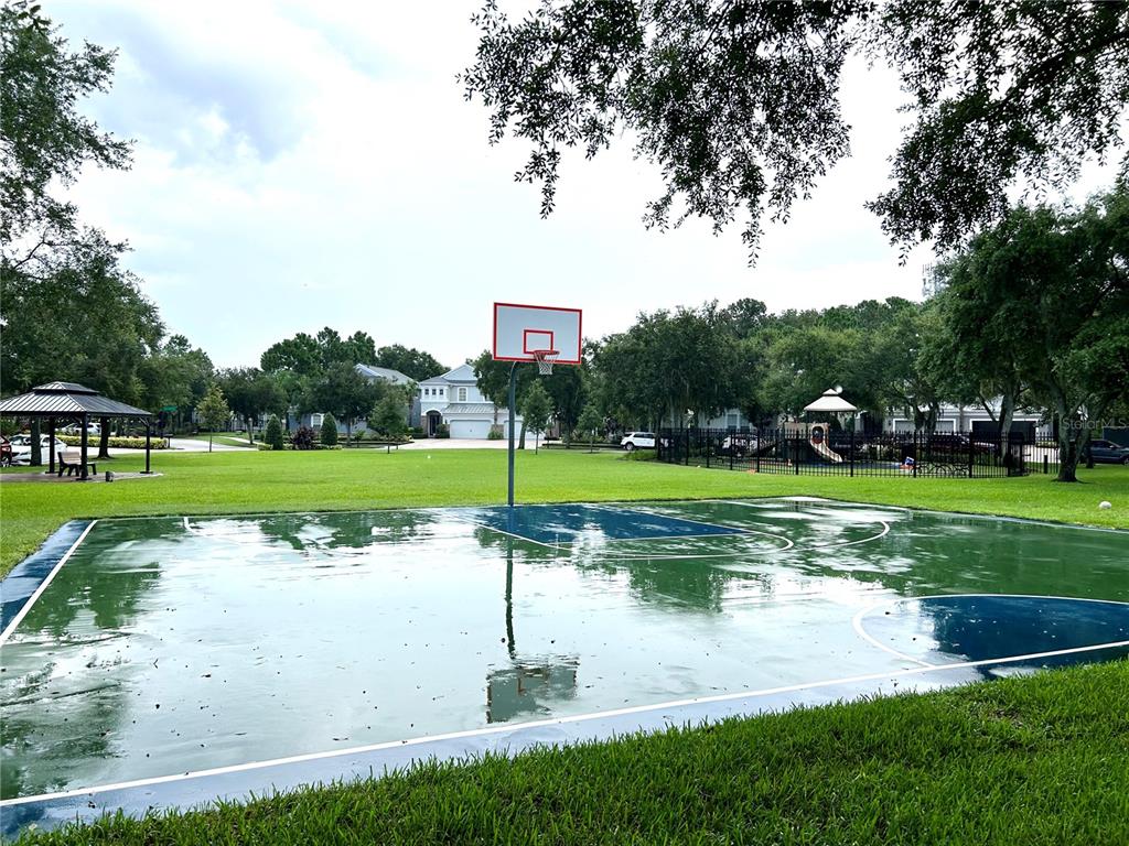 11210 Roseate Drive Tampa, FL 33626 - Photo 50 of 50 a view of a park