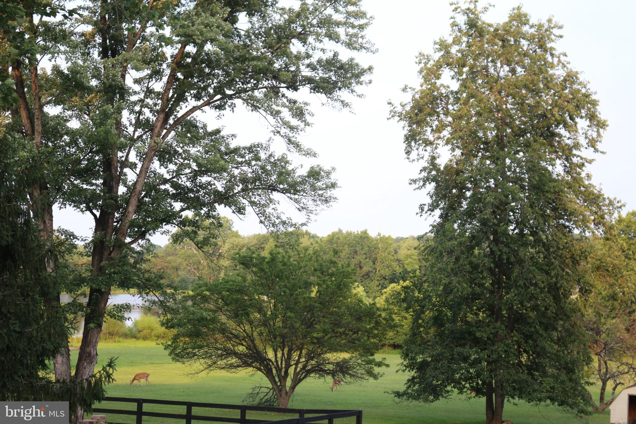 6793 Riley Road Warrenton, VA 20187 - Photo 2 of 5