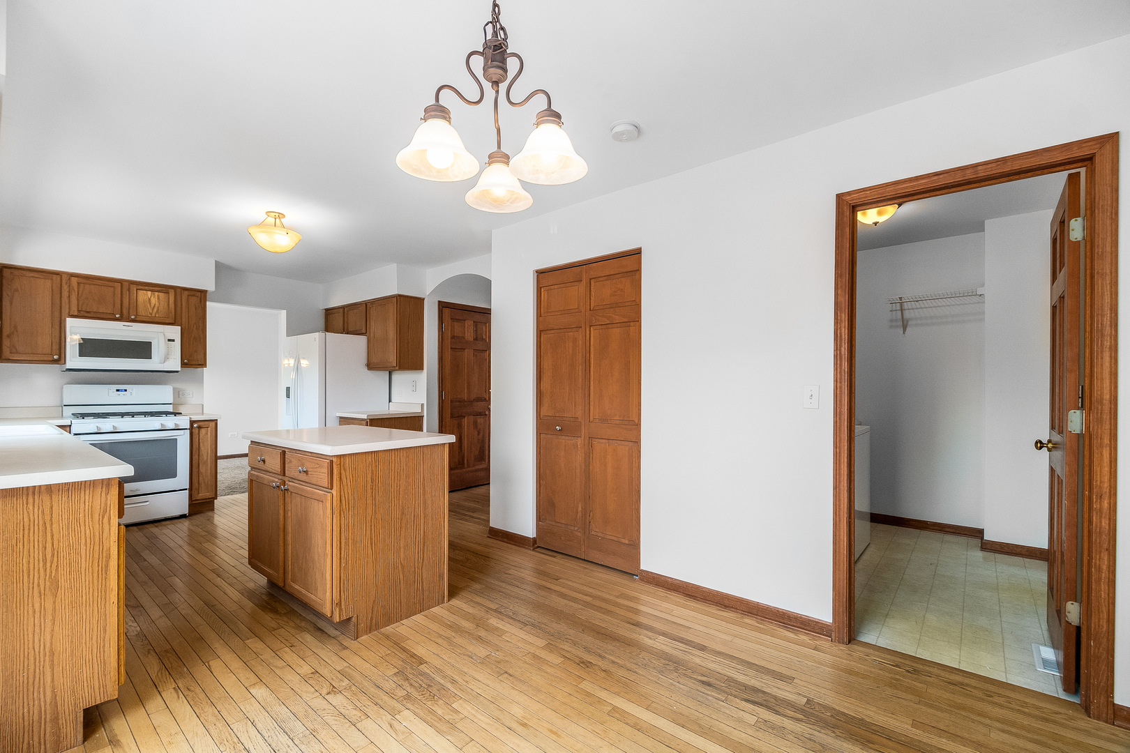 319 Deerpath Court Wauconda, IL 60084 - Photo 7 of 25