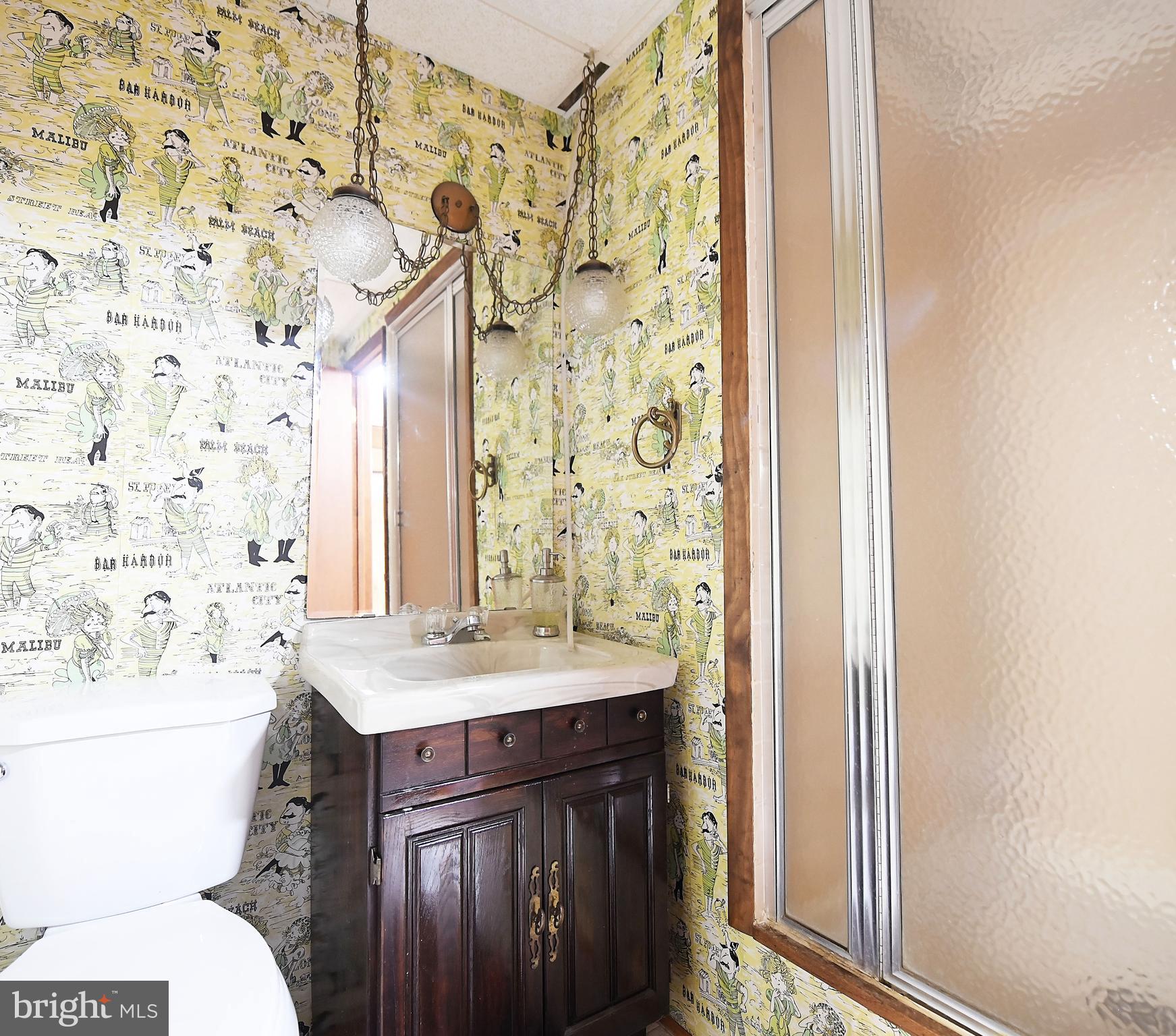 17032 Old Baltimore Road Olney, MD 20832 - Photo 47 of 55 Full Bath lower level