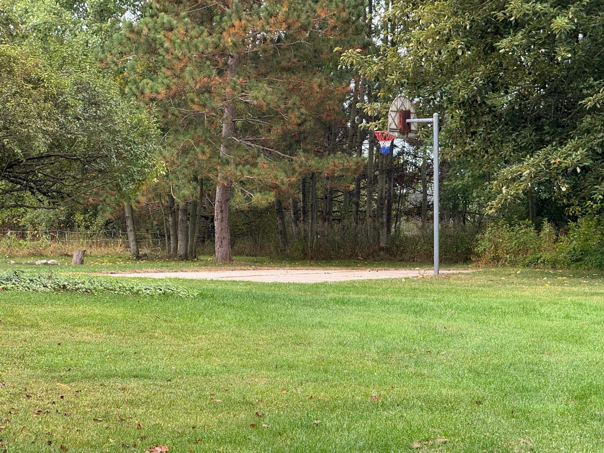 2917 North 47 Road Manton, MI 49663 - Photo 64 of 74