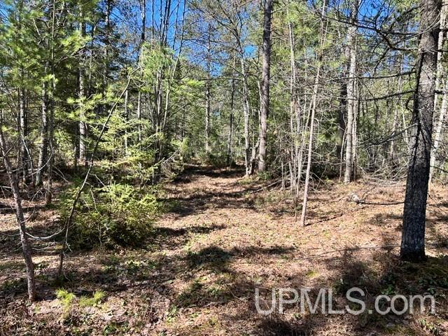 61 Little Rice Lk Road Lake Linden, MI 49945 - Photo 10 of 29
