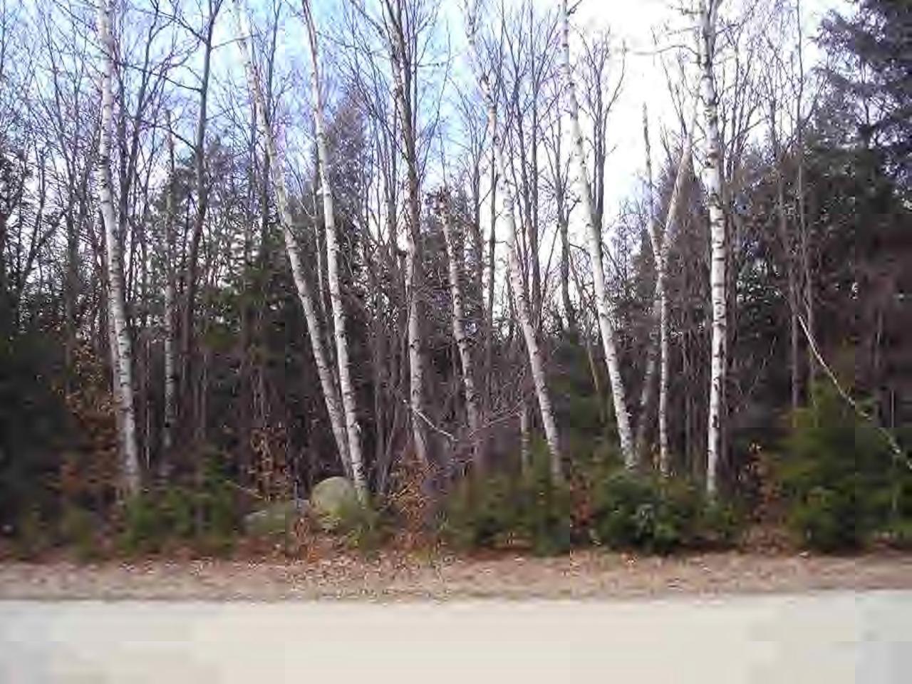 32 Stoney Brook Road Becket, MA 01223 - Photo 2 of 2 a backyard of a house with lots of trees