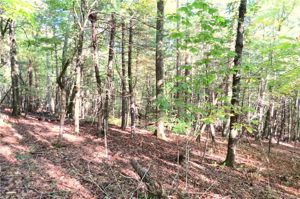 530 Slick Rock Road, Unit TRACT 1 Brevard, NC 28712 - Photo 1 of 6 Gallery Image 1
