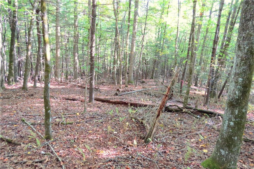 530 Slick Rock Road, Unit TRACT 1 Brevard, NC 28712 - Photo 2 of 6 Gallery Image 2