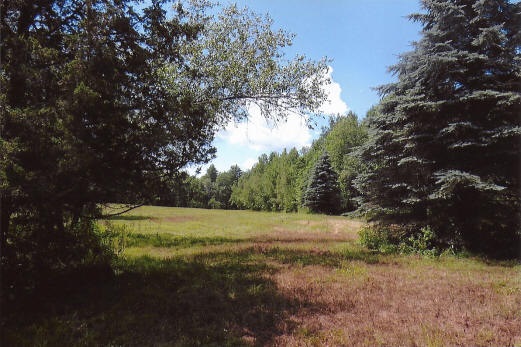 7 Lyons Falls Road Wells, VT 05774 - Photo 15 of 40 Gallery Image 15