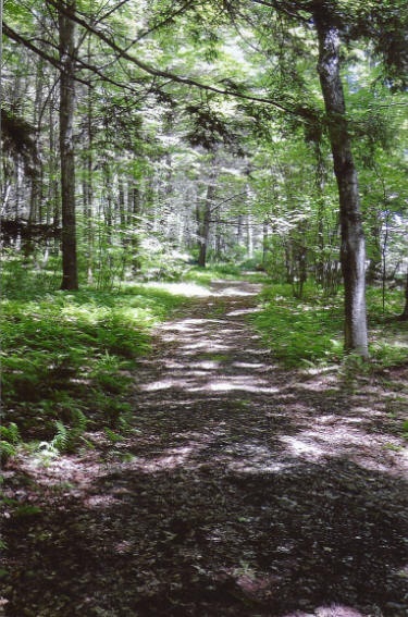 7 Lyons Falls Road Wells, VT 05774 - Photo 20 of 40 Gallery Image 20